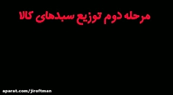 مرحله دوم توزیع سبدهای کالا رزمایش مواسات انجام شد