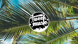 آهنگ منتخب بیس دار جدید 99 مخص...