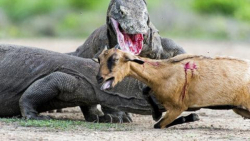 مستند فارسی - ماموریت های خطرن...