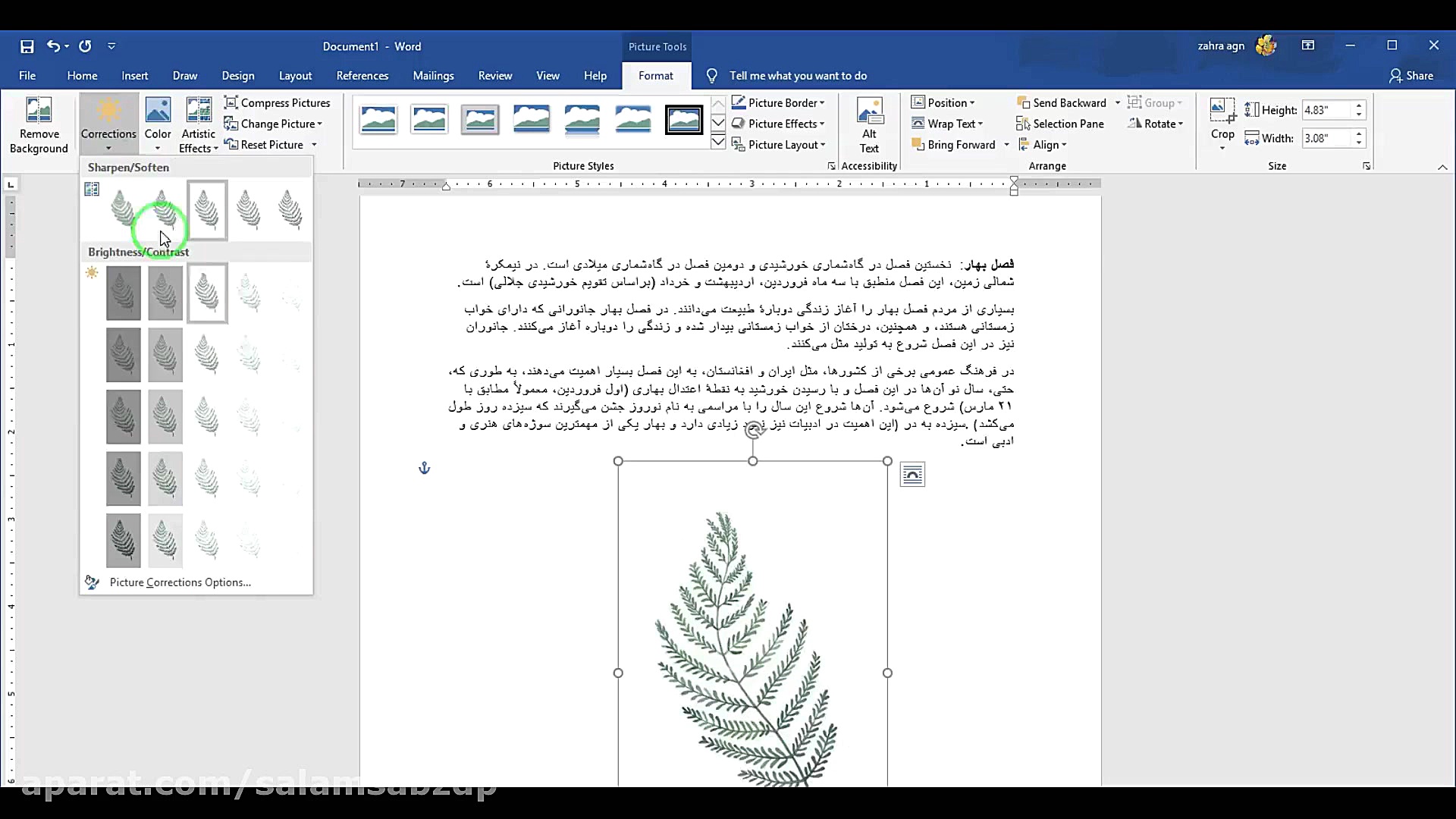 آموزش text wrap در نرم افزار word لیفت صورت