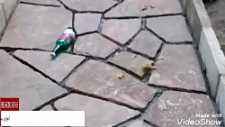 پیمانکاری سنگ کوهی سنگ ورقه ای...