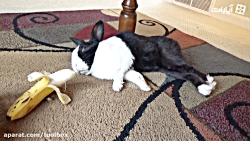 وقتی از خواب بیدار میشی و می ف...