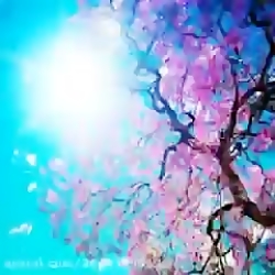 موسیقی اصیل و سنتی زیبا  آهنگ...