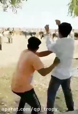 گاو از بعضی ادما باوفا تره / ک...