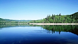 دکلمه از محمد صلاحی/ حسرت