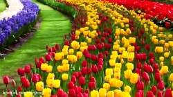 ❤میکس عاشقانه با آهنگ ساقیا بد...