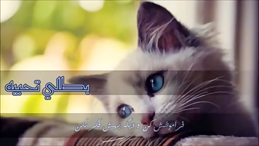 آهنگ عربى الیسا با زیر نویس فا...