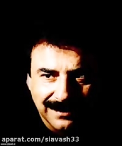 آهنگ شاخ شمشاد علیرضا افتخاری(...