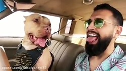 سگ هم تو تعجب مونده بخدا