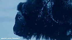 10 حیوان غیر طبیعی بزرگ که واق...