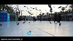 نماهنگ کربلایی جواد مقدم