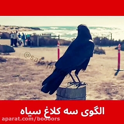 آموزش بورس:(تحلیل تکنیکال) الگ...