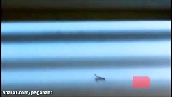 پرویز پرستویی در _بید مجنون_