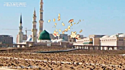 ولادت حضرت امام حسن مجتبي (ع)