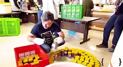 کمپین بهار همدلی؛ تهیه بسته ها...