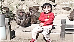 دختر دیگه، حتی میمون ها هم عاش...