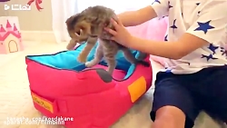 دیانا و روما دیانا  روما2019...