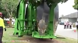 علوم پیشرفته (کلیپ شماره 13)