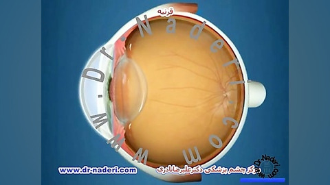 قرنیه -ساختمان چشم-مرکز چشم پزشکی دکتر علیرضا نادری مرکز چشم پزشکی دکتر علیرضا نادری www.dr-naderi.com