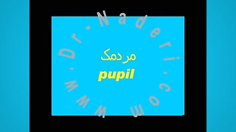 مردمک-ساختمان چشم-مرکز چشم پزشکی دکتر علیرضا نادری مرکز چشم پزشکی دکتر علیرضا نادری www.dr-naderi.com