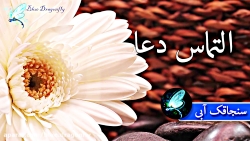 کلیپ شب قدر توسل به امام علی ش...
