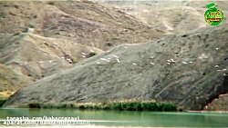 حیات وحش سیستان بلوچستان گاندو