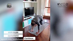 از پیانو زدن دیبالا تا بچه‌دار...