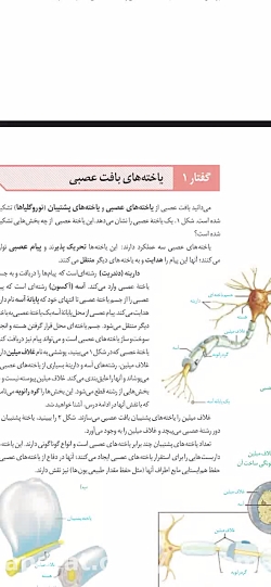 زیست شناسی پایه یازدهم فصل 3 زیست 2