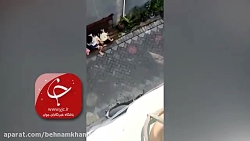 تو روز روشن یک میمون شیطون کود...