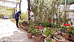 طنز بسیار خنده دار افغانی جوک...