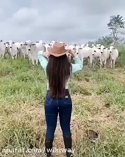 حنا دختری در مزرعه (: ) | ویدئ...