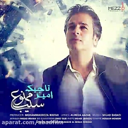 دانلود آهنگ سیب ممنوع اثر امیر...