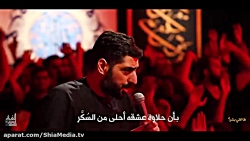 ها علی بشر کیف بشر - سید مجید...