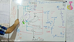 تدریس گوارش پارت 24  دهم