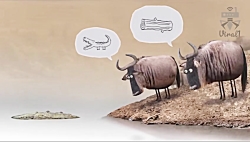 انیمیشن مذاکره گاو ها بر سر یک...