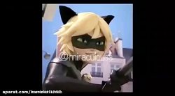 میکسی از آدرین ( کت نوار )