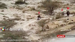 تصاویری از هدف قرار گرفتن مزدو...