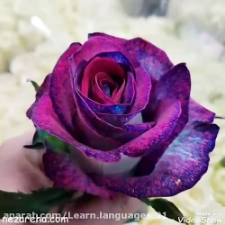 آهنگ ترکی بهترین آهنگ شاد