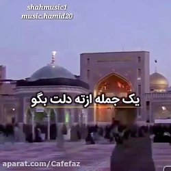 دلتنگهای امام رضا