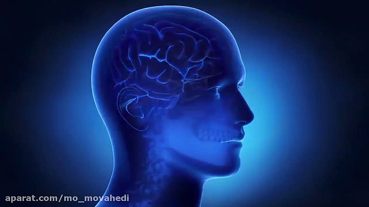 دیتاکس دوپامین: کلکی ساده برای افزایش کارایی ذهن تام کروز