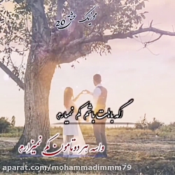 کلیپ عاشقانه شاد و زیبا_عاشقان...