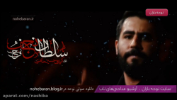 نماهنگ سلطان نجف با نوای کربلا...