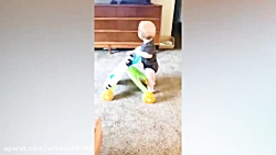 کلیپ جالب از اولین راه رفتن کو...