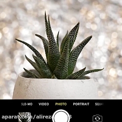 10 ترفند سرگرم کننده برای ماند...