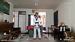 ضربات دست تکواندو