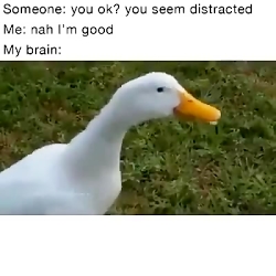 کلیپ خنده دار