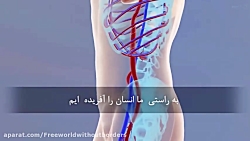 تلاوت عبدالباسط که روح تان را...
