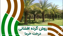 گرده افشانی درخت خرما