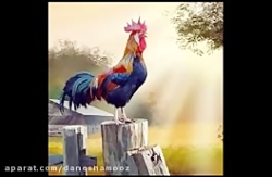 انشا باموضوع مقایسه روستا و شه...