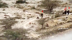 تک تیرانداز یمنی از کشتن مزدور...